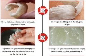 Cách phân biệt yến sào thật và giả